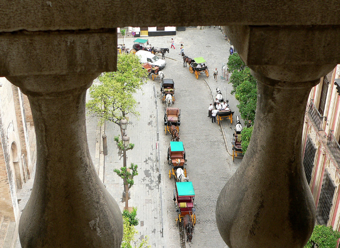 P1000970