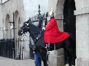 DSCN0017