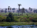 DSCN0331